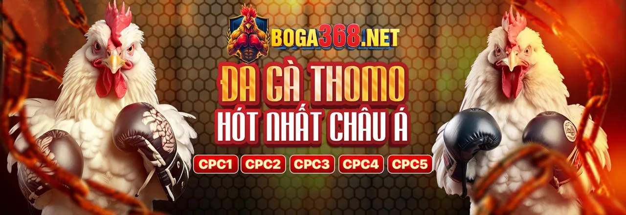 Trận đá gà kịch tính tại 5pro Trang Chủ Chính Thức